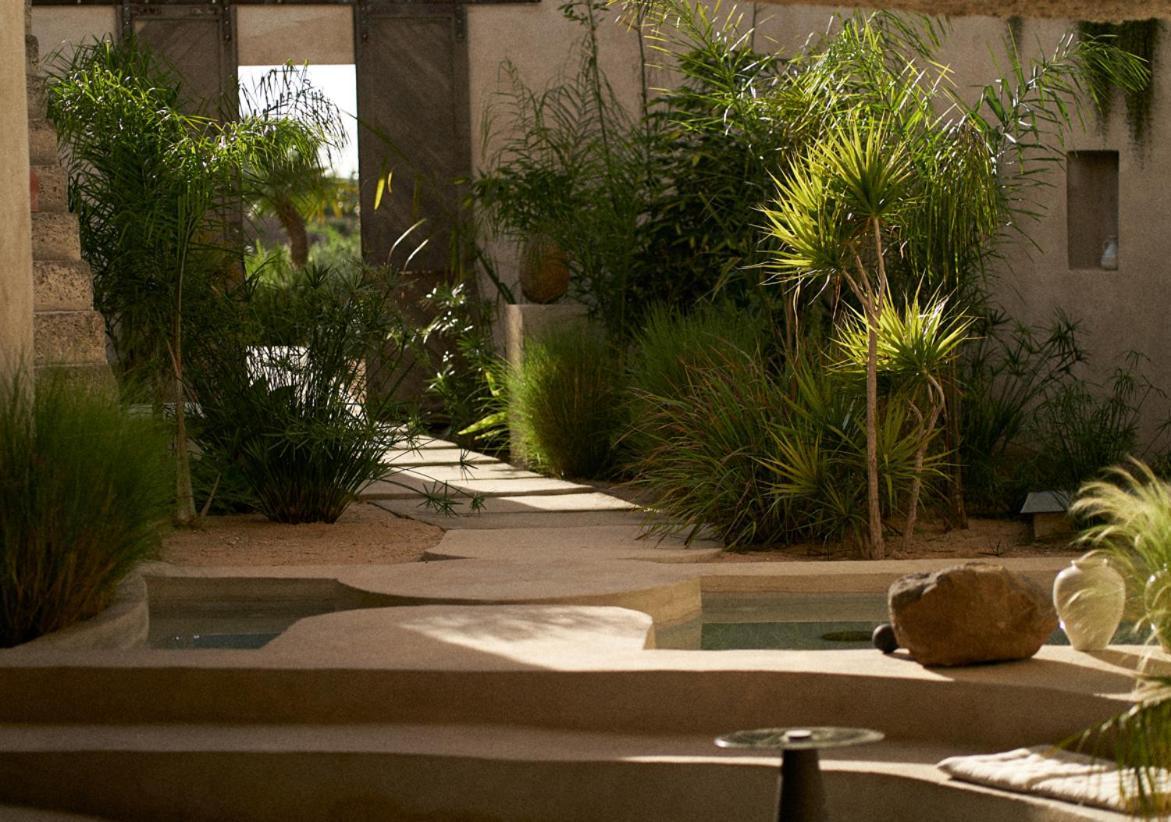 Ecohotel El Agua Arico el Nuevo المظهر الخارجي الصورة