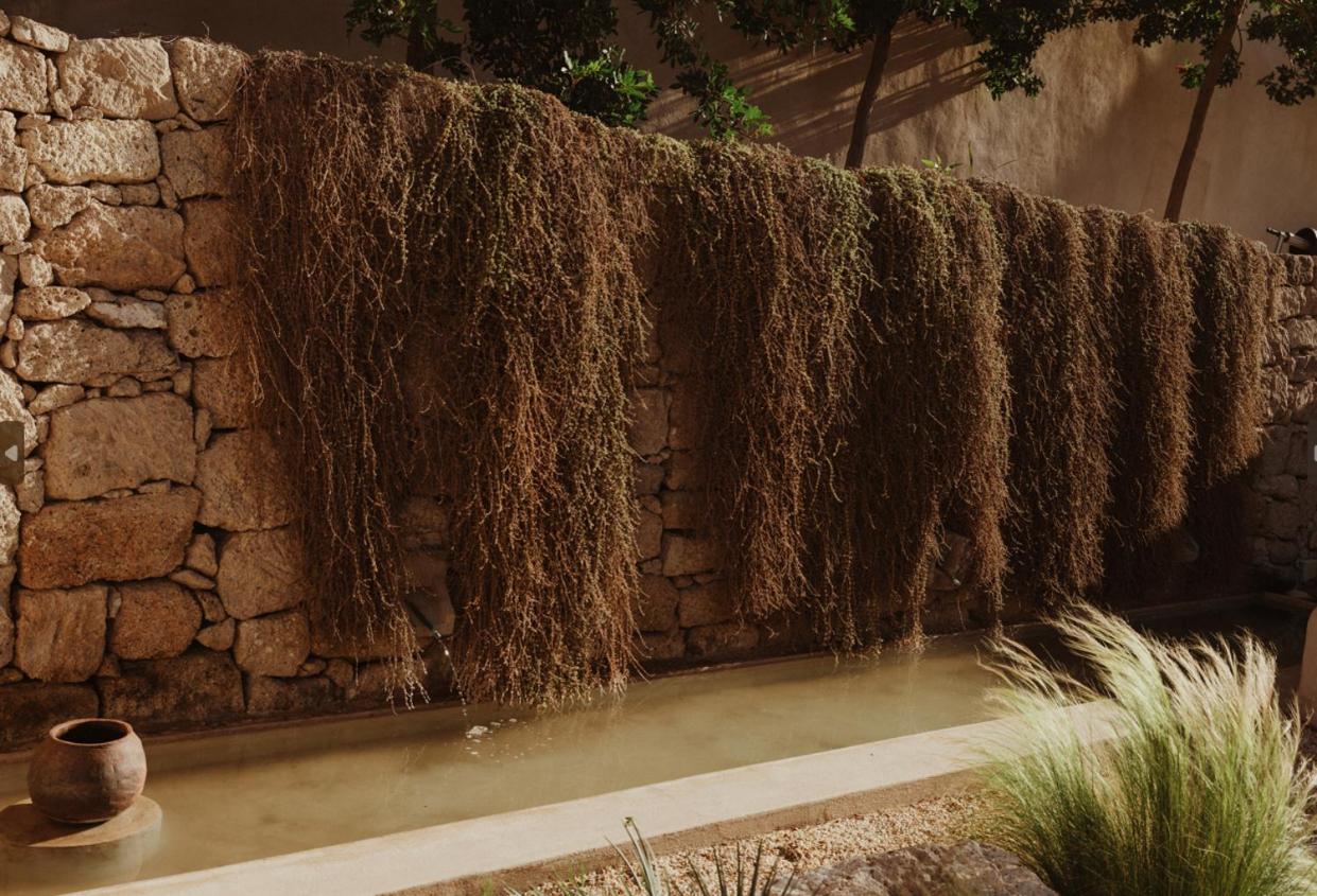 Ecohotel El Agua Arico el Nuevo المظهر الخارجي الصورة