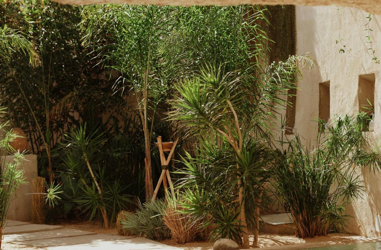 Ecohotel El Agua Arico el Nuevo المظهر الخارجي الصورة