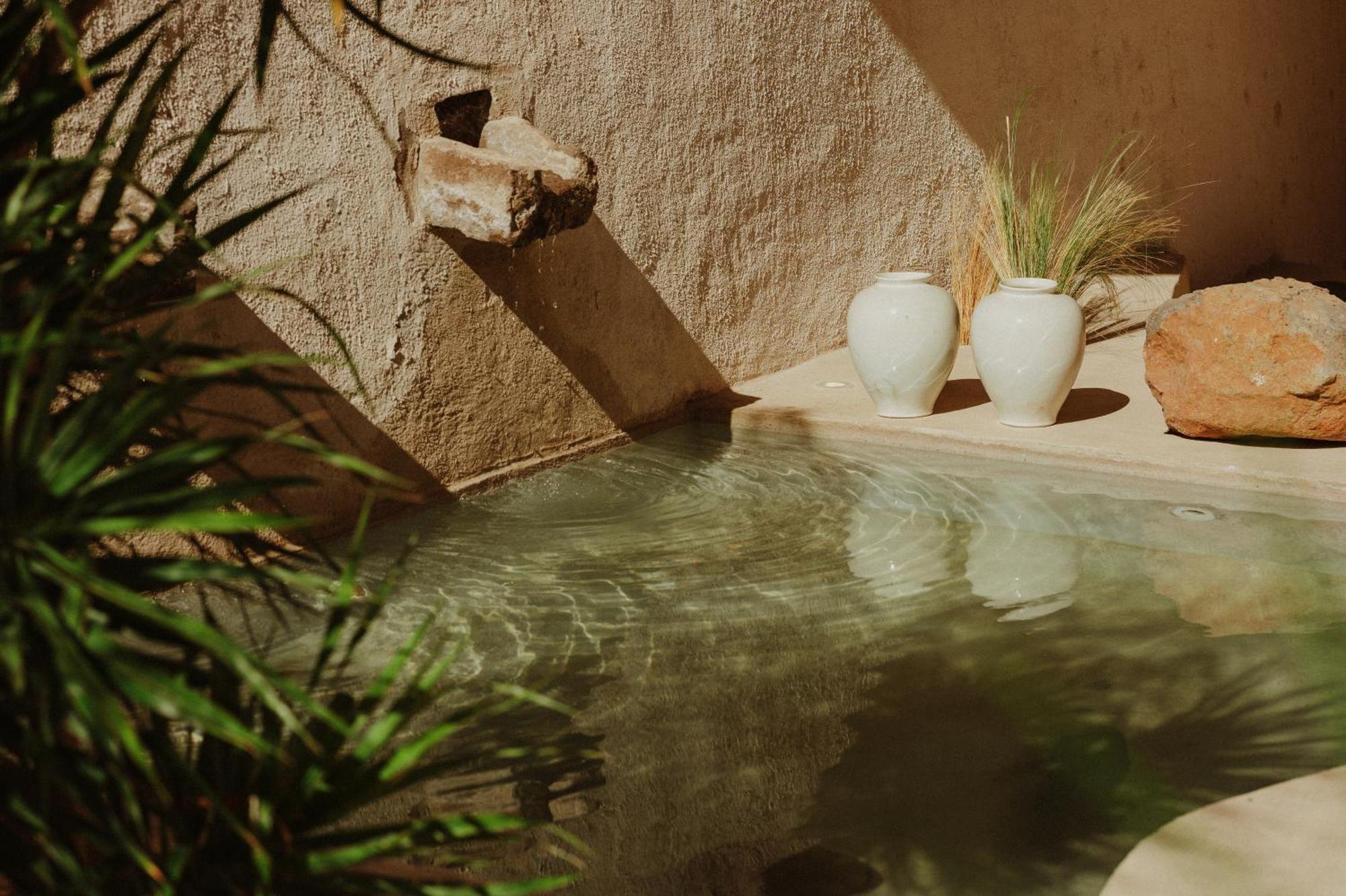 Ecohotel El Agua Arico el Nuevo المظهر الخارجي الصورة