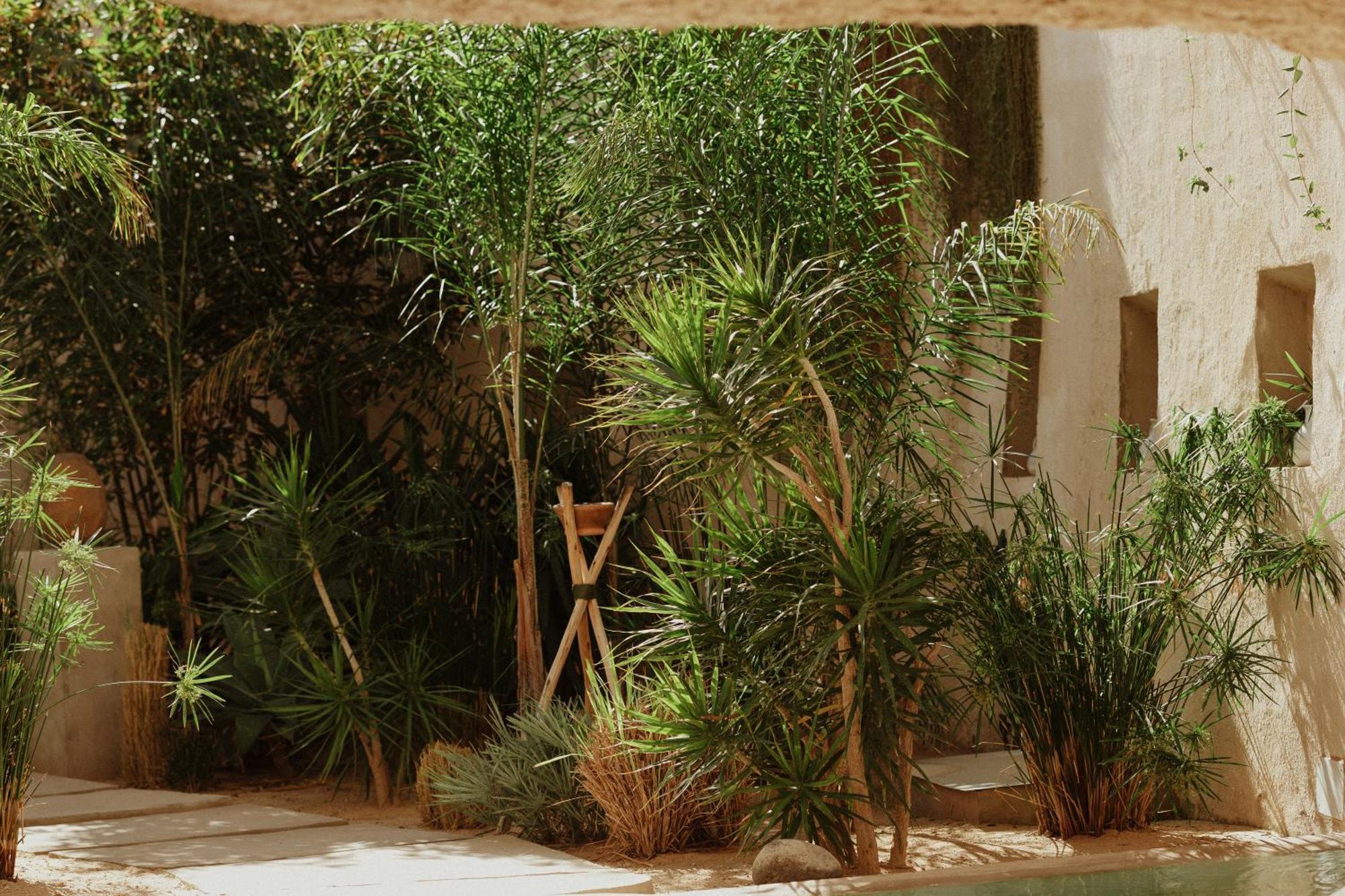 Ecohotel El Agua Arico el Nuevo المظهر الخارجي الصورة