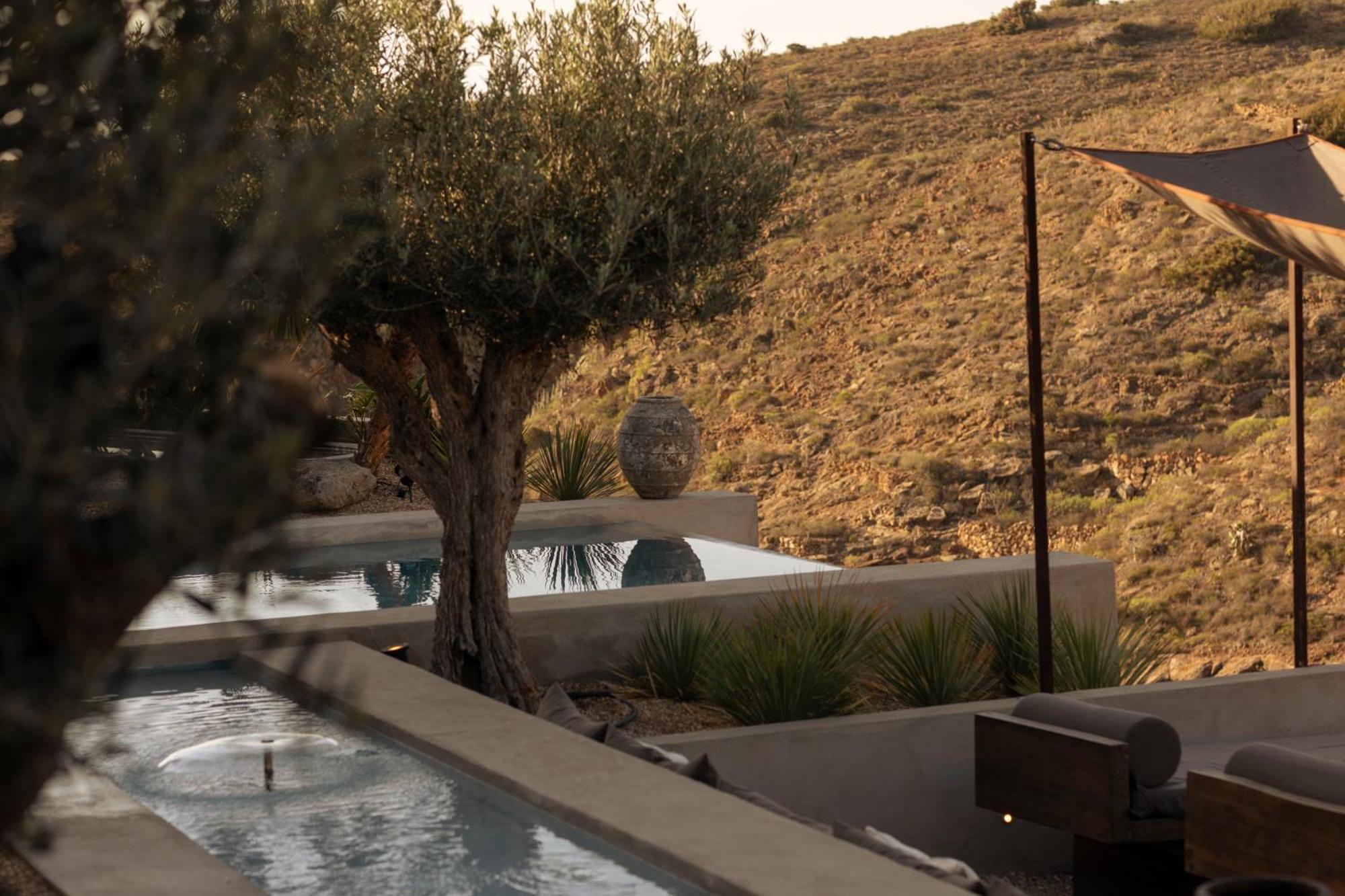 Ecohotel El Agua Arico el Nuevo المظهر الخارجي الصورة